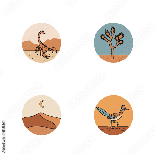 Desert illustrations