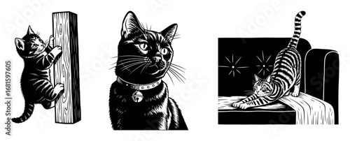 House Cats Activity Vector Set – Scratching Post, Curious Portrait & Leaping onto Bed, Detailed Black & White Feline Illustrations