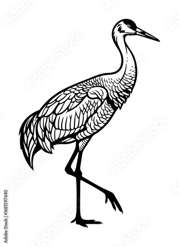 Elegant Crane Walking Vector – Tall Wading Bird with Long Neck & Legs, Detailed Black & White Silhouette Illustration