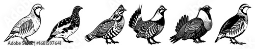 Partridge & Grouse Vector Silhouettes – Upland Game Birds Collection, Detailed Black-and-White Clip Art Set