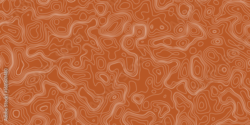 Textured topographic mapping pattern with layered contour line arrangement