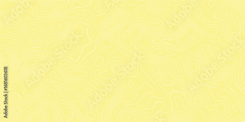 Terrain style contour mapping pattern with organic irregular abstract shapes