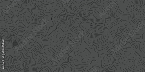 Mapping terrain style pattern with stylish elevation contours in abstract form
