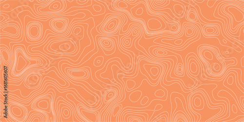 Monochrome mapping background with fluid abstract curving line contours