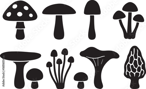 Set of Mushroom Silhouettes – Vector Fungi Icons Featuring Edible Mushrooms, Toadstools, Wild Forest Fungi & Botanical Shapes