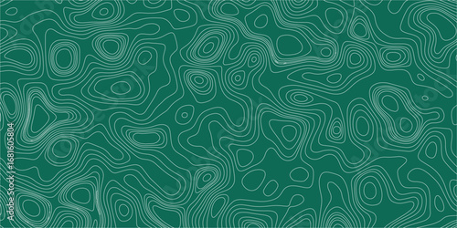 Modern abstract illustration with irregular geographic contour map forms