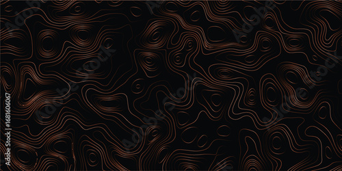 Terrain style abstract illustration with irregular flowing contour line details