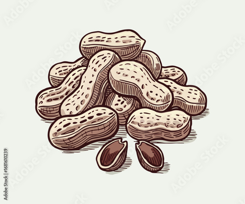 peanut outline illustration. hand drawn peanut sketch. peanut black and white vector drawing. peanut isolated on white background. vector illustration. peanuts line art drawing. peanuts outline.