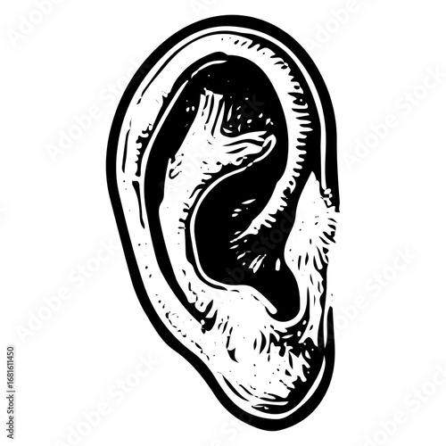 Detailed Vintage Ear Illustration, Auditory System Anatomy Drawing