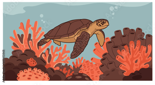 Sea turtle near coral