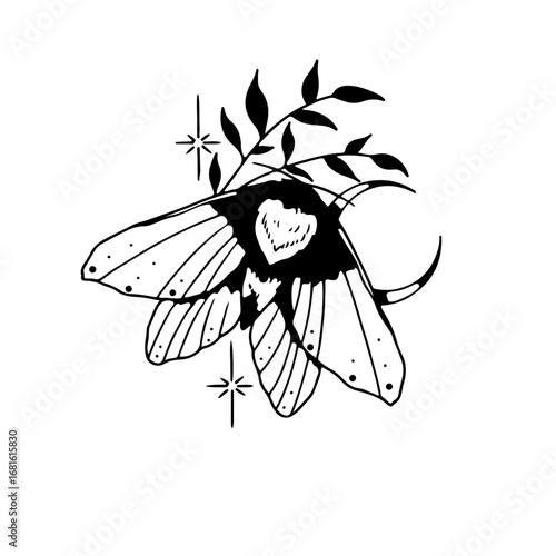 Celestial Moth with Heart and Stars
