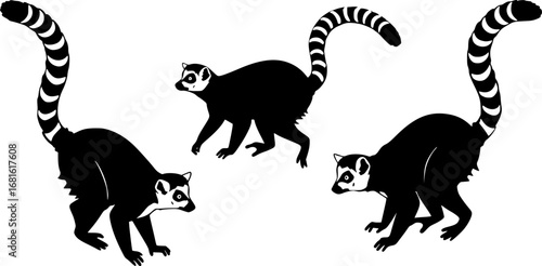 Ring-Tailed Lemur Silhouette Vector Set – Minimalist Lemur Illustrations on White Background
