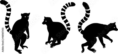 Ring-Tailed Lemur Silhouette Vector Set – Minimalist Lemur Illustrations on White Background
