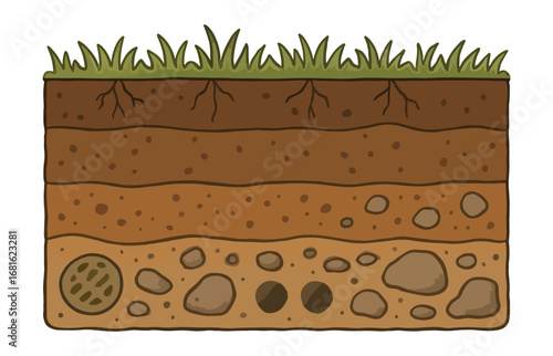 Soil Layers Cross Section Vector Illustration