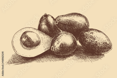 Avocado illustration in a vintage style. This vector illustration can be used in any size you like for advertising, logos, and other work.