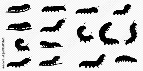 A collection of caterpillar silhouettes in various crawling and arched poses against a transparent background.
