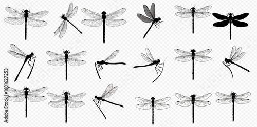 Collection of dragonfly silhouettes in different poses and angles on a transparent background.
