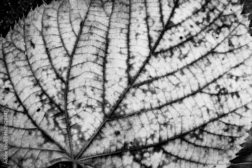 Chiesa di San Michele al Monte, Porto Valtravaglia, Varese, Lombardia