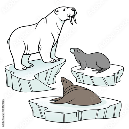 Polar Bear, Seal, and Walrus on Ice Floes Illustration