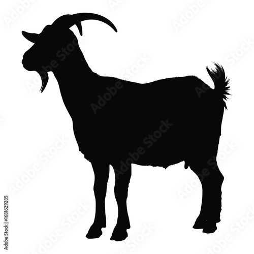Silhouette of a standing male goat with horns and beard facing left isolated on white. silhouette