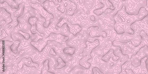 Futuristic contour line abstract topography with vibrant neon highlights and smooth curves