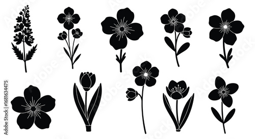 a variety of floral silhouettes displayed in black and white