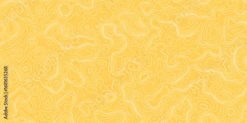 Creative abstract terrain map with smooth flowing lines and depth effect shadows