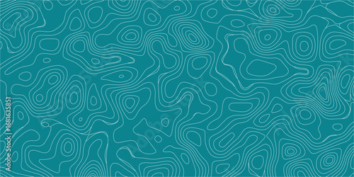 Modern abstract topographic map with flowing lines and vibrant gradient palette