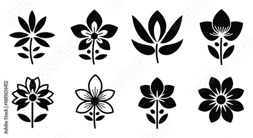 various floral designs showcasing different styles and shapes