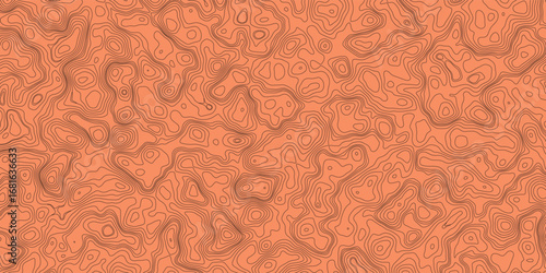 Detailed contour line abstract illustration of topographic landscape in modern style