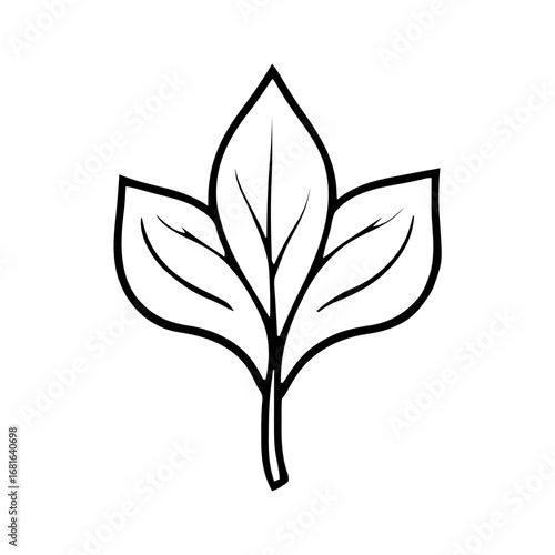 Beauty & Cosmetics – Spa Leaf 507