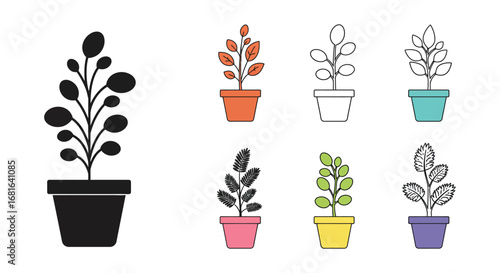 various potted plants with different colors and leaf styles