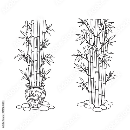 Handdrawn illustration of bamboo plants in a decorative pot and natural setting