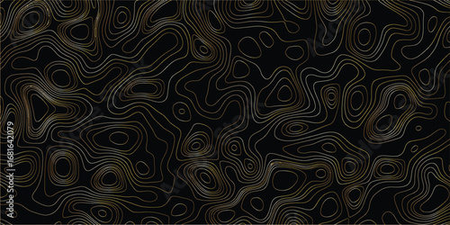 Topographic contour lines forming intricate abstract shapes with depth effect for digital art