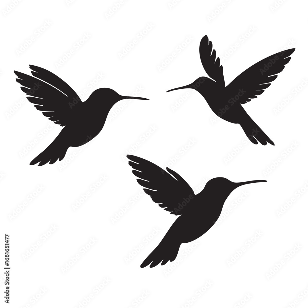 Fototapeta premium Silhouette of Three Hummingbirds in Flight - Graceful Vector Graphic