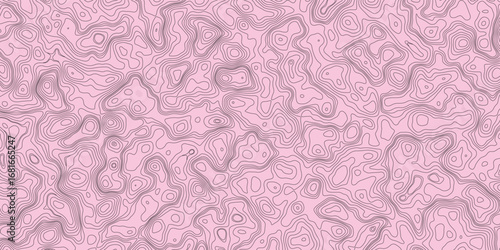 Modern topographic mapping design with abstract irregular flowing lines