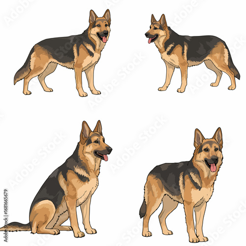 Set of Four German Shepherds
