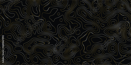 Abstract irregular mapping pattern with organic contour line background
