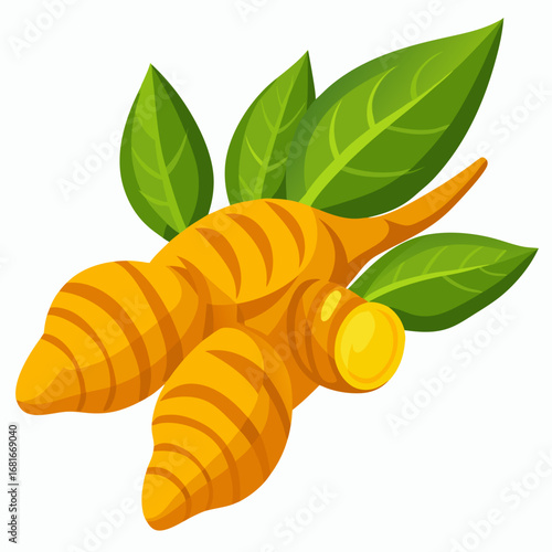 Turmeric Root and Leaves