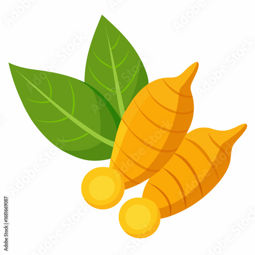 Fingerroot (Krachai) with Leaves Illustration