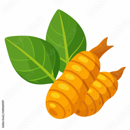 Two Carrots with Green Leaves