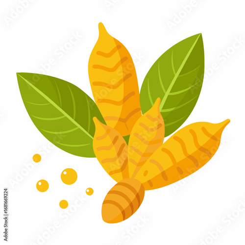Turmeric Root and Leaves with Drops