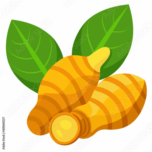 Turmeric Roots and Leaves