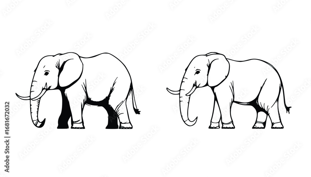 Fototapeta premium Minimal line drawing of two elephants side by side, simple wildlife outline sketch illustration design