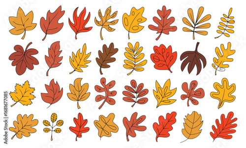 Autumn Leaves Vector Set – Fall Season Foliage Collection for Decoration and Design