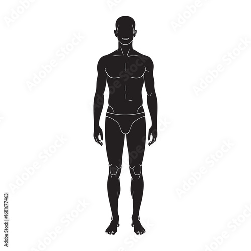 Silhouette of a muscular male physique standing front view fitness bodybuilding anatomy human form silhouette