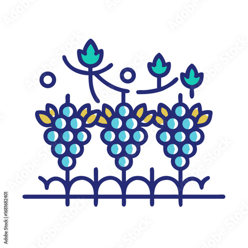 Vector art of vineyard with grapes, representing agriculture, wine production, and the cultivation of fruit