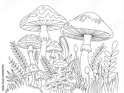 Hand-Drawn Mushrooms Illustration: Fungi, Nature, Plants, Flora, Organic, Forest, Garden, Botanical Art, Line Drawing