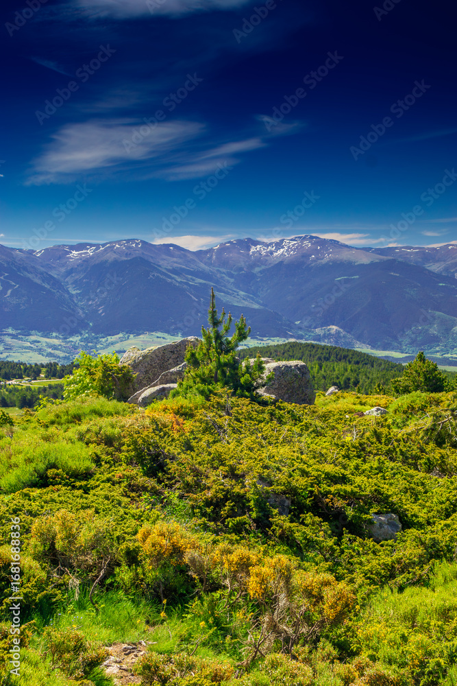 Obraz premium Mountain landscape of the Pyrenees in summer in the South of France. Pastures and forests in Font Romeu.