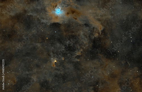 The Iris nebula and the ghosts in Cepheus constellation, taken with amateur telescope.